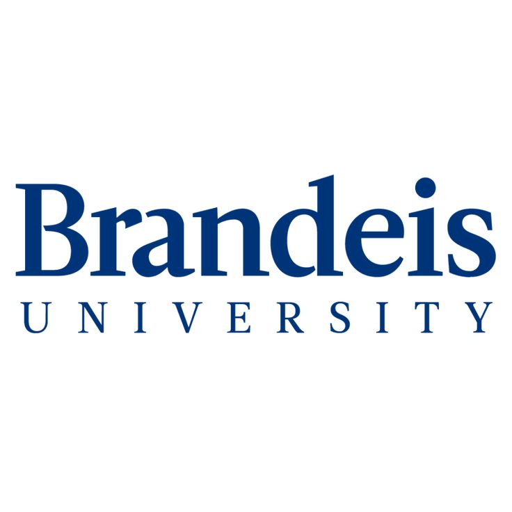 Brandise logo